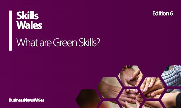 What are Green Skills